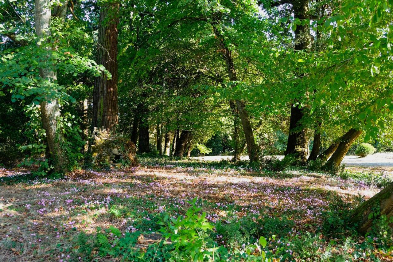 Chateau De Thouare エクステリア 写真